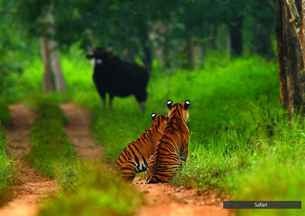 The Serai Bandipur Bagian luar foto